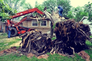 damaged tree on house