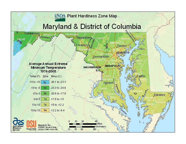 Maryland plant hardiness zones