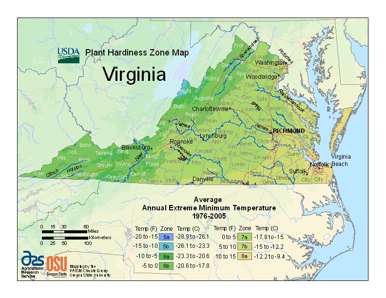 Virginia plant hardiness zones
