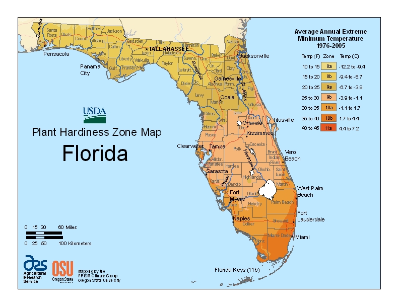 Florida plant hardiness zones