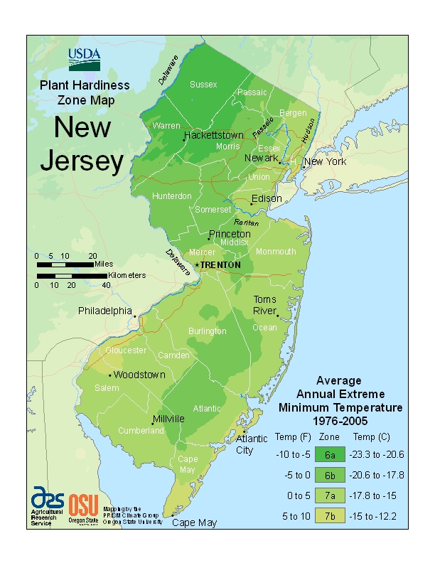 New Jersey plant hardiness zones map